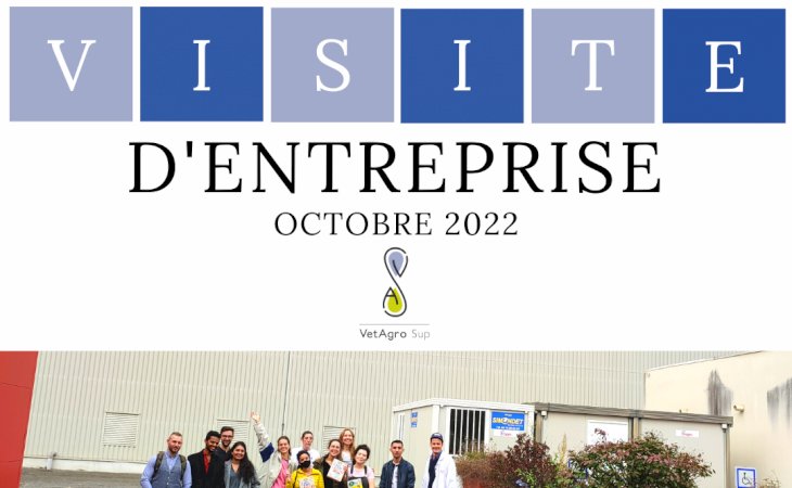 VISITE